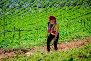 BIB: 
                            <button type="button" onclick="openModal(19164196)" class="btn btn-primary btn-sm float-right btn-popup" data-toggle="modal" data-target=".modal-high-quality">
                        <i class="fas fa-shopping-cart"></i> Add to Cart
                    </button>
                                            <button type="button" onclick="isThisMe(19164196, true)" class="btn btn-success btn-sm float-right btn-popup btn-isme hidden" data-toggle="tooltip" data-placement="bottom" title="นี่คือรูปของคุณใช่ไหม คลิกที่นี่เพื่อเอาเข้าอัลบั้ม">
                        <i class="fas fa-plus"></i> Add to album
                    </button>
                    <button type="button" onclick="isThisMe(19164196, false)" class="btn btn-warning btn-sm float-right btn-popup btn-isnotme hidden">
                        <i class="fas fa-ban"></i> Remove from album
                    </button>